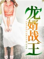 龍婿戰(zhàn)王