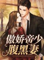 傲嬌帝少腹黑妻