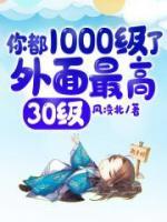 你都1000級了，外面最高30級！