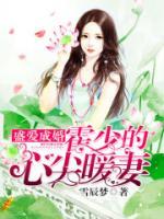 盛愛成婚：霍少的心尖暖妻