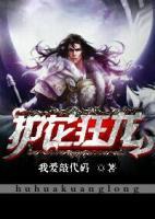 護(hù)花狂龍