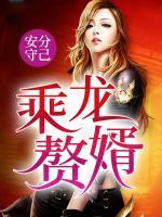 乘龍贅婿