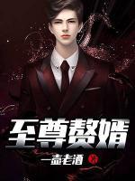 至尊贅婿