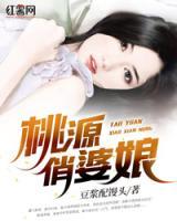 桃源致富經(jīng)