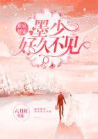 獨家婚寵：墨少好久不見
