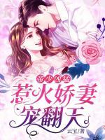 帝少兇猛：惹火嬌妻寵翻天