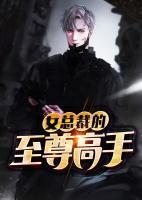 女總裁的至尊高手