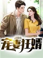 寵妻狂婿
