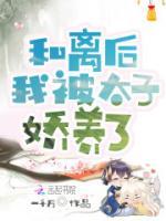 和離后，我被太子?jì)绅B(yǎng)了