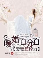 暖婚百分百：愛妻超給力