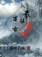 萬(wàn)古最強(qiáng)贅婿