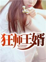 狂師王婿