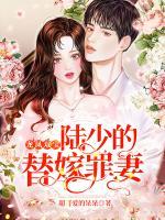 龍鳳雙寶：陸少的替嫁罪妻