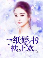 一紙婚書枕上歡