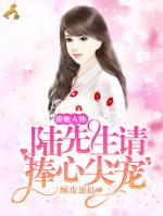 撩她入懷：陸先生請捧心尖寵
