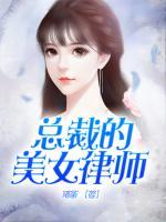 總裁的美女律師