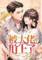 閃婚后被大佬盯上了