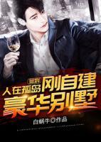 簽到，人在孤島，剛自建豪華別墅