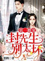 第一婚寵：封先生，別太壞
