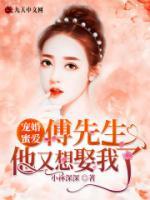 寵婚蜜愛：傅先生他又想娶我了！
