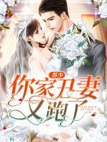 蘇少，你家丑妻又跑了