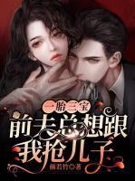 一胎三寶：前夫總想跟我搶兒子