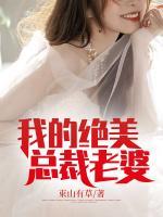 我的絕美總裁老婆