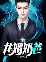 龍婿奶爸