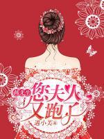 韓先生，您夫人又跑了