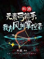網(wǎng)游：元素弓箭手，我為風(fēng)神掌控者