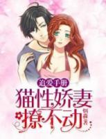 追愛手冊：貓性嬌妻撩不動(dòng)