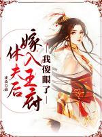 休夫后嫁入王府，我傻眼了