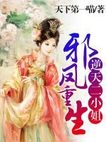 邪鳳重生：逆天二小姐