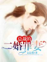 總裁的二婚罪妻