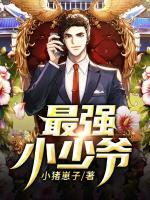 最強(qiáng)小少爺