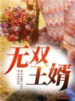 無雙王婿