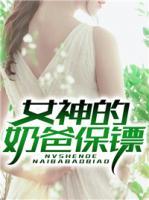 女神的奶爸保鏢