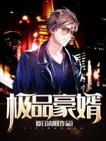 極品豪婿