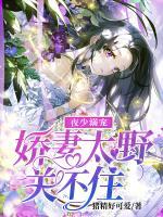 夜少溺寵：嬌妻太野關(guān)不住
