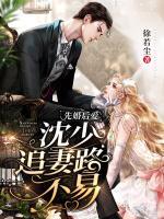 先婚后愛：沈少追妻路不易