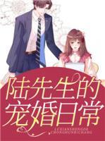 陸先生的寵婚日常