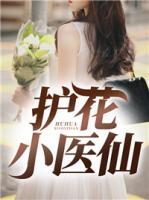 護(hù)花小醫(yī)仙