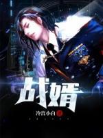 戰(zhàn)婿