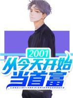 2001：從今天開始當(dāng)首富