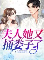 夫人她又捅婁子了！
