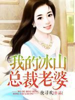 我的冰山總裁老婆