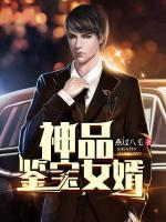神品鑒寶女婿