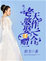 天作之合：老婆娶一贈一