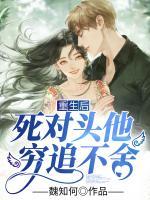 重生后死對(duì)頭他窮追不舍