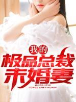 我的極品總裁未婚妻